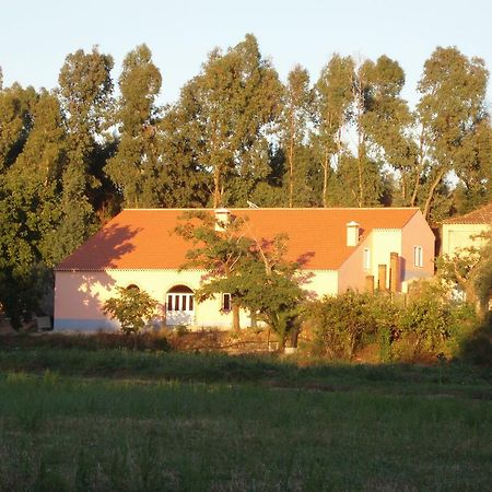 Casal Da Juge Torres Novas Exterior foto