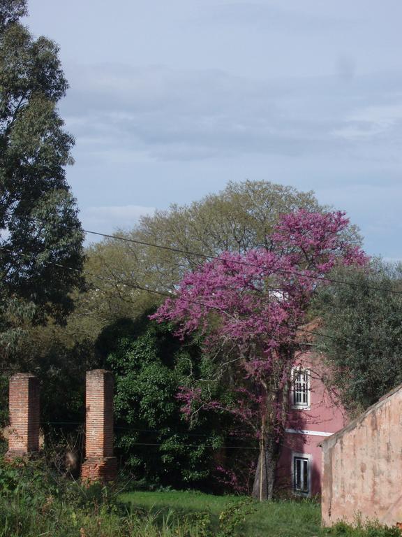 Casal Da Juge Torres Novas Exterior foto