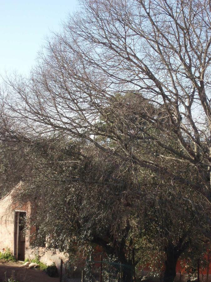 Casal Da Juge Torres Novas Exterior foto